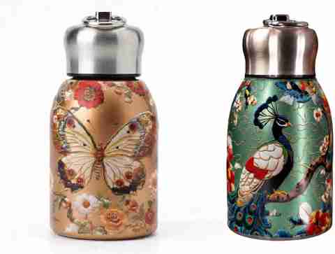 300ml peacock and butterfly printed insulated stainless steel bottle set of 2